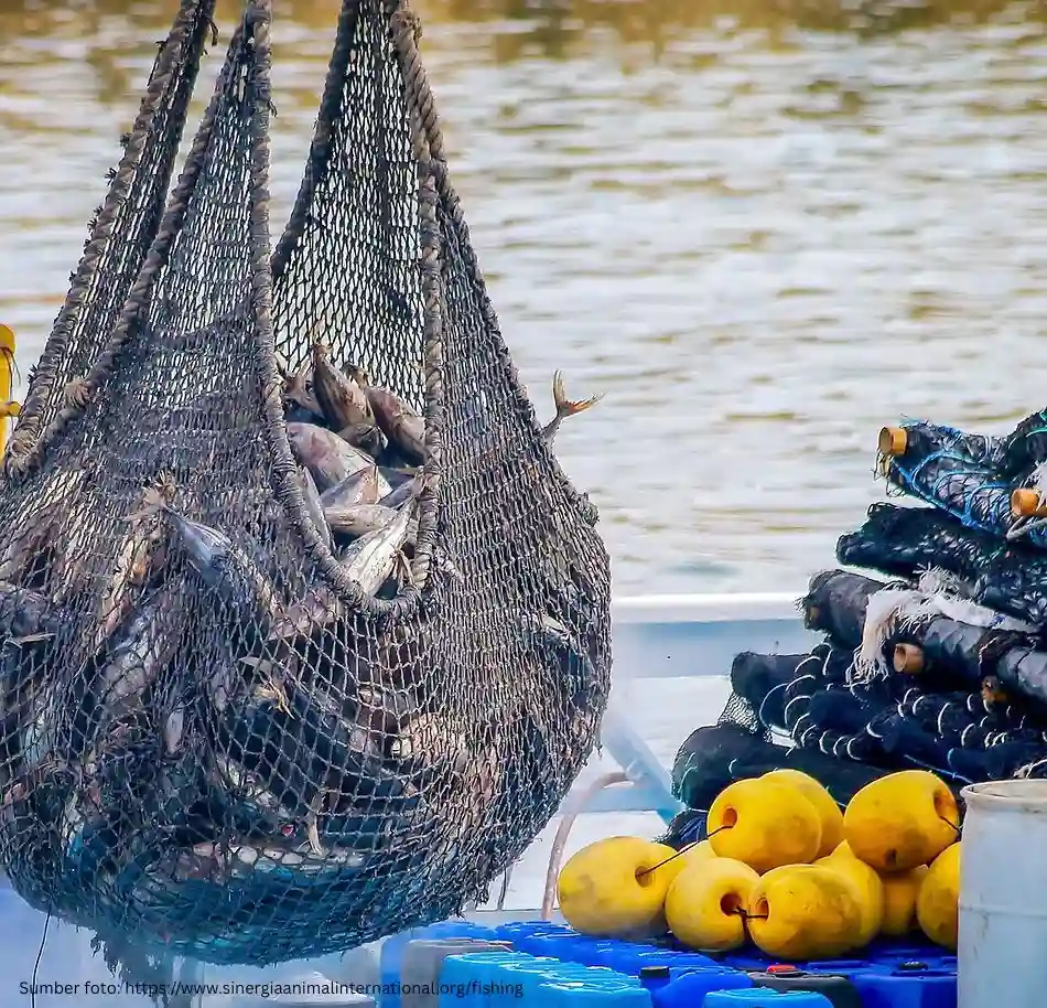 WoDEF 2025: Eksploitasi Hewan Akuatik dan Krisis Lingkungan yang Terabaikan