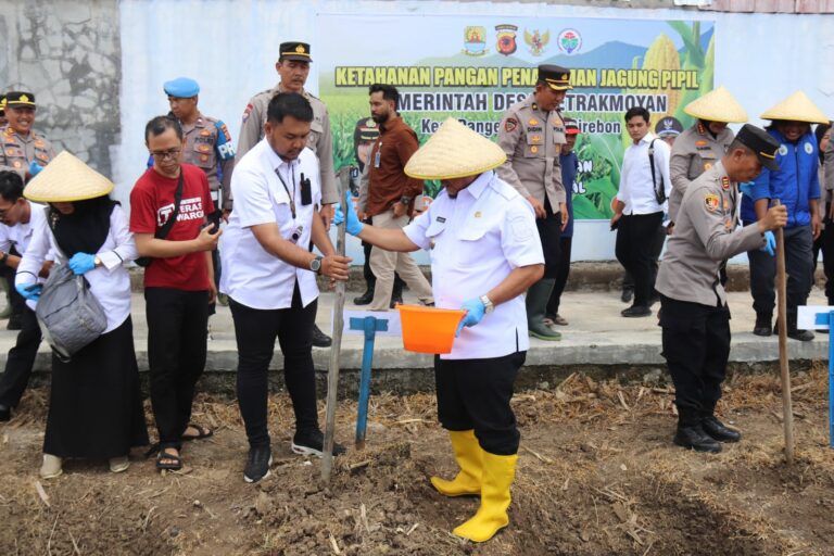Pemkab Cirebon dan Polresta Cirebon Kolaborasi Dorong Ketahanan Pangan Lewat Penanaman Jagung Pipil