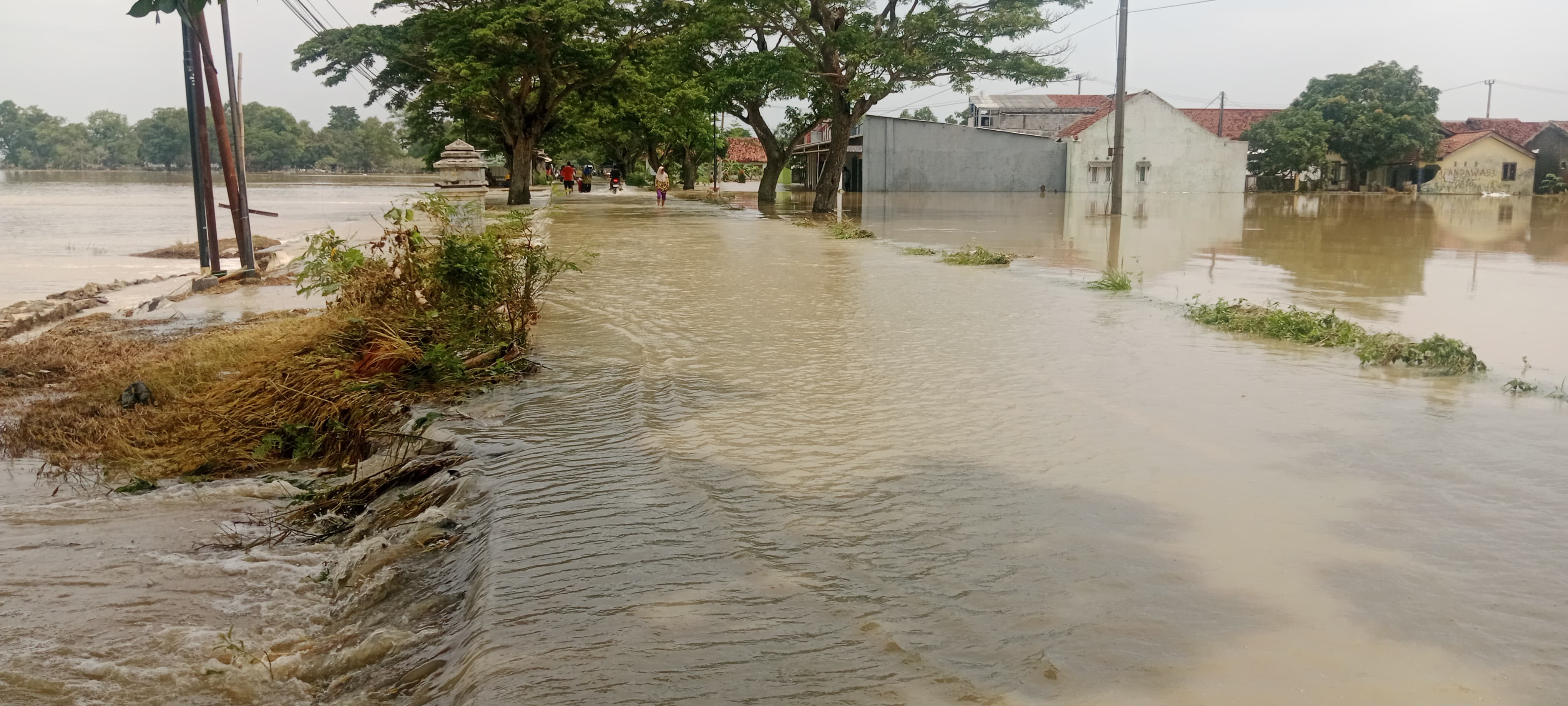Hujan Deras Picu Banjir di Sejumlah Wilayah Kabupaten Cirebon, Ratusan Rumah Terendam