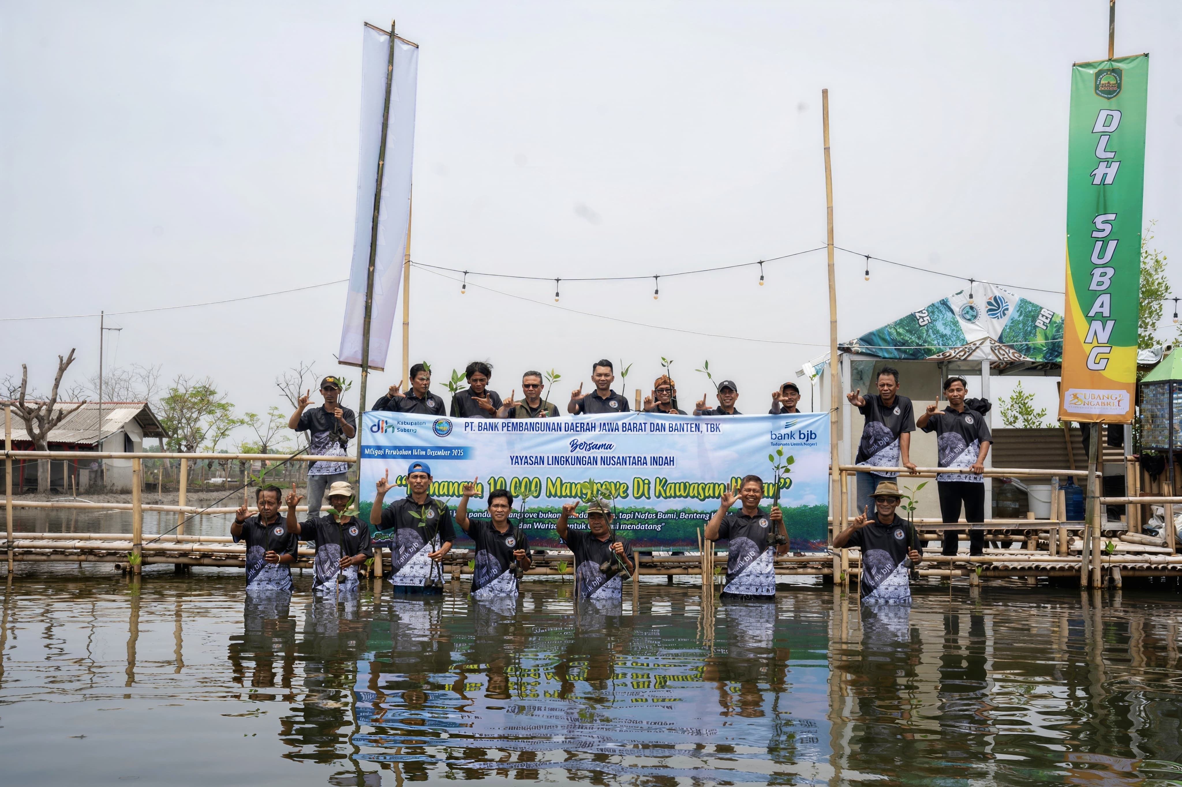 Dukung Ekosistem Pesisir, bank bjb Tanam 10.000 Mangrove Bersama Masyarakat Subang